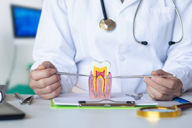 Best 24-Hour Emergency Dental Care in Eufaula, OK
